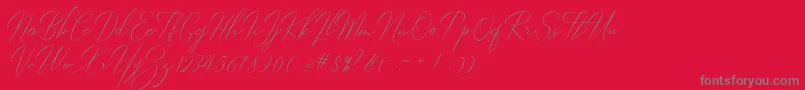 Robertortiz Font – Gray Fonts on Red Background