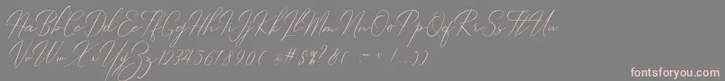 Robertortiz Font – Pink Fonts on Gray Background