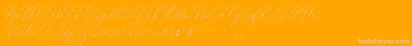 Robertortiz Font – Pink Fonts on Orange Background