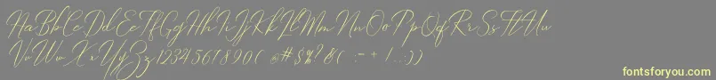 Robertortiz Font – Yellow Fonts on Gray Background
