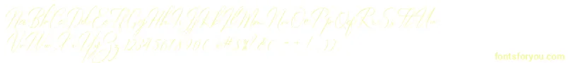 Robertortiz Font – Yellow Fonts