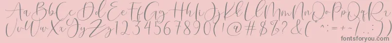 Roberts Humter Font – Gray Fonts on Pink Background