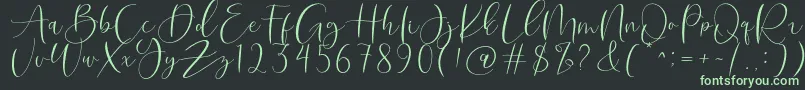 Roberts Humter Font – Green Fonts on Black Background