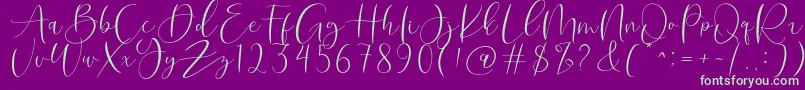 Roberts Humter Font – Green Fonts on Purple Background