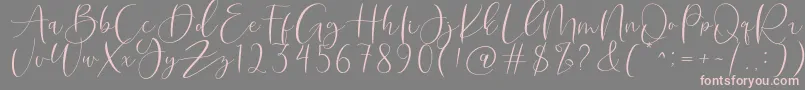 Roberts Humter Font – Pink Fonts on Gray Background