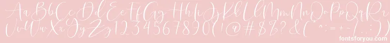 Roberts Humter Font – White Fonts on Pink Background