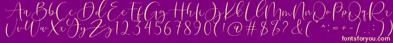 Roberts Humter Font – Yellow Fonts on Purple Background