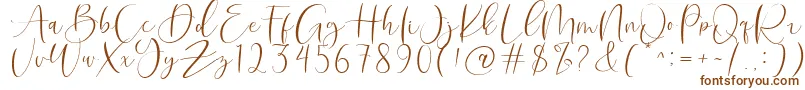 Roberts Humter Font – Brown Fonts on White Background
