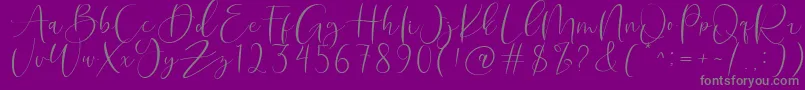 Roberts Humter Font – Gray Fonts on Purple Background