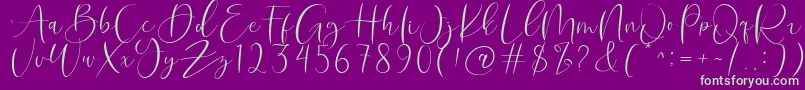 Roberts Humter Font – Green Fonts on Purple Background