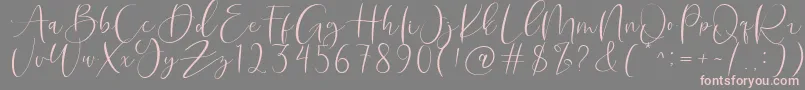 Roberts Humter Font – Pink Fonts on Gray Background