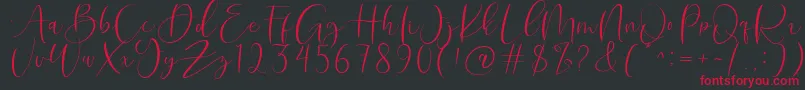 Roberts Humter Font – Red Fonts on Black Background