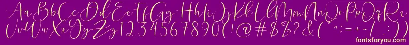 Roberts Humter Font – Yellow Fonts on Purple Background