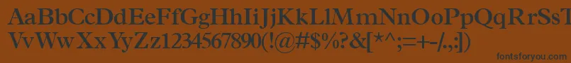 TerminussskSemibold-fontti – mustat fontit ruskealla taustalla