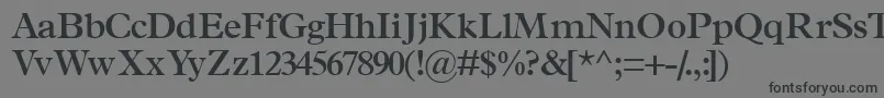 Шрифт TerminussskSemibold – чёрные шрифты на сером фоне