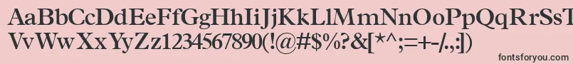 フォントTerminussskSemibold – ピンクの背景に黒い文字