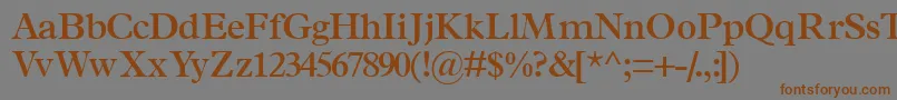 フォントTerminussskSemibold – 茶色の文字が灰色の背景にあります。