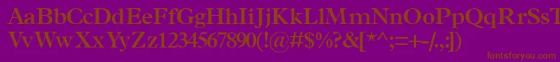 フォントTerminussskSemibold – 紫色の背景に茶色のフォント