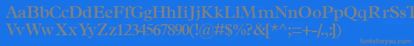 フォントTerminussskSemibold – 青い背景に灰色の文字