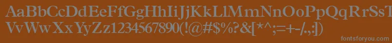 フォントTerminussskSemibold – 茶色の背景に灰色の文字