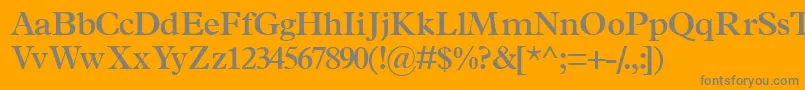 フォントTerminussskSemibold – オレンジの背景に灰色の文字