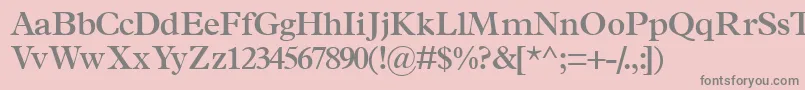 TerminussskSemibold Font – Gray Fonts on Pink Background