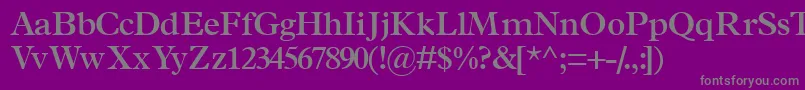 フォントTerminussskSemibold – 紫の背景に灰色の文字