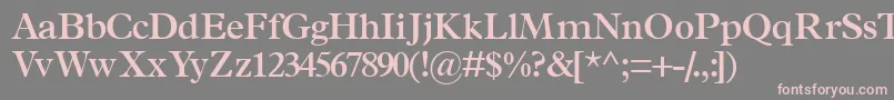 フォントTerminussskSemibold – 灰色の背景にピンクのフォント