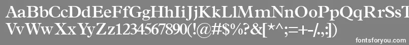 TerminussskSemibold-fontti – valkoiset fontit harmaalla taustalla