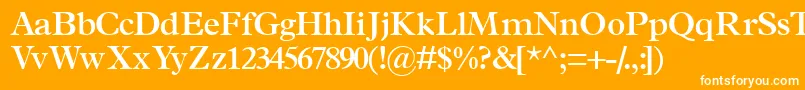 TerminussskSemibold-fontti – valkoiset fontit oranssilla taustalla