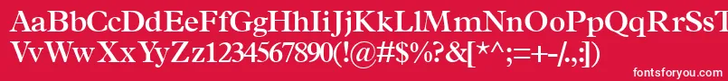 TerminussskSemibold-Schriftart – Weiße Schriften auf rotem Hintergrund