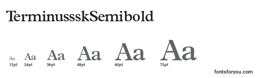 Размеры шрифта TerminussskSemibold