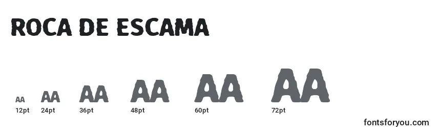 Размеры шрифта Roca de Escama