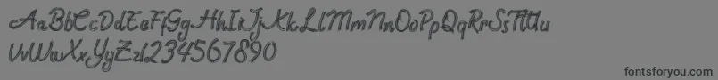 Rock Brush Pro Font – Black Fonts on Gray Background