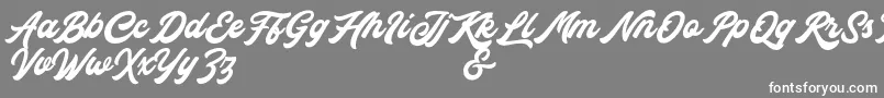 Rocka  Billy Demo Version Font – White Fonts on Gray Background