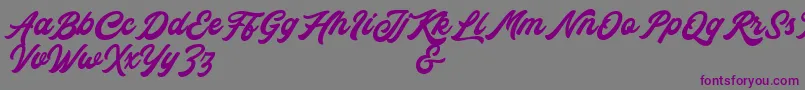 Rocka  Billy Demo Version-Schriftart – Violette Schriften auf grauem Hintergrund