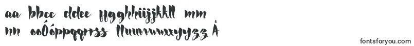 Rocke Font – Polish Fonts