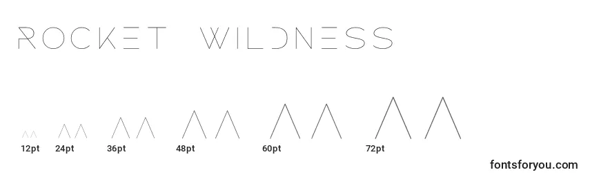 Размеры шрифта ROCKET WILDNESS (138953)