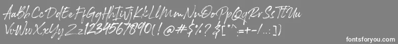 フォントRockness – 灰色の背景に白い文字
