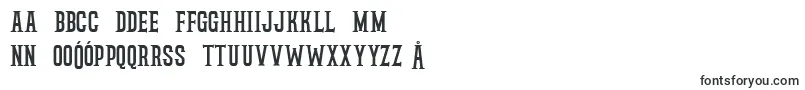 rockstar free personal use Font – Polish Fonts