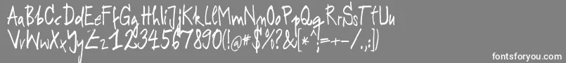 RODEK    Font – White Fonts on Gray Background