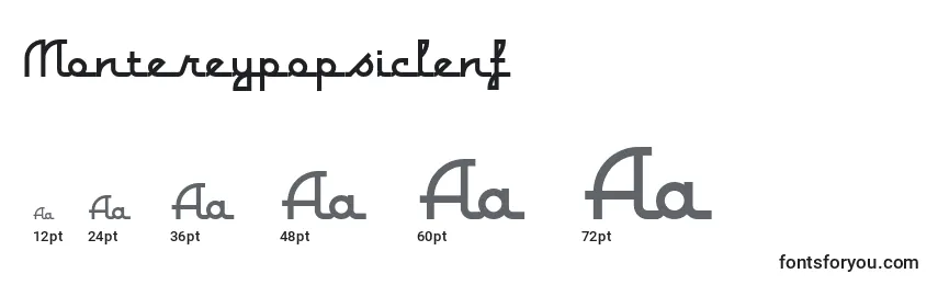 Размеры шрифта Montereypopsiclenf (13898)