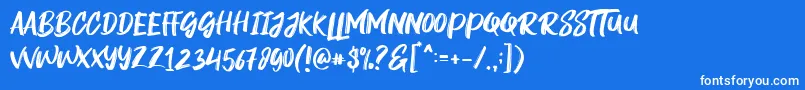 Rogeu Font – White Fonts on Blue Background