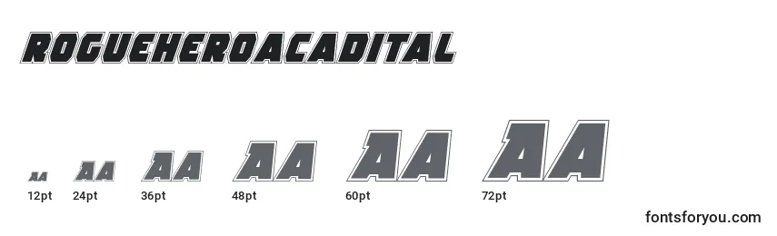 Размеры шрифта Rogueheroacadital (138999)