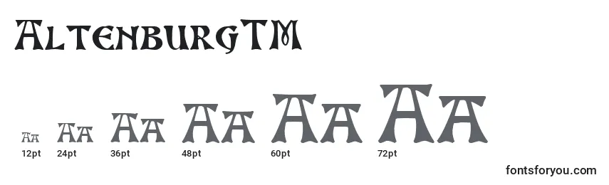 sizes of altenburgtm font, altenburgtm sizes