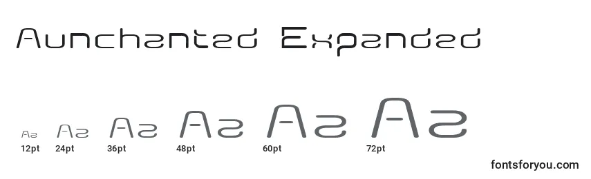 Aunchanted Expanded Font Sizes