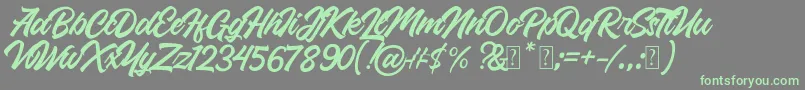 Czcionka Roland – zielone czcionki na szarym tle
