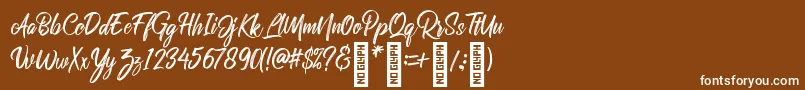 フォントRolleteQaku Regular – 茶色の背景に白い文字