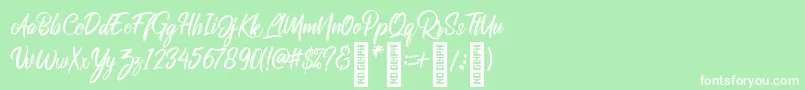 RolleteQaku Regular Font – White Fonts on Green Background