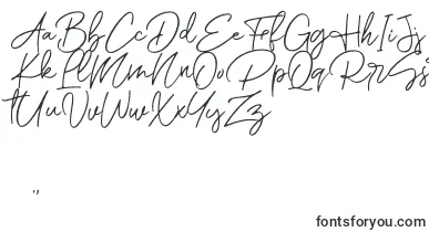 Romantic Couple Script font – handwritten Fonts